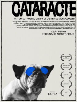 Cataract (2021)