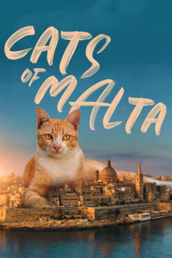 Cats of Malta (2022)