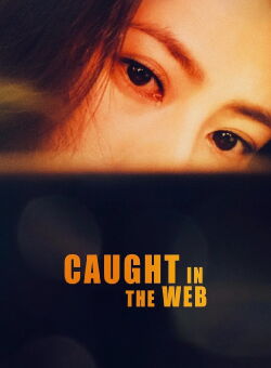 Caught in the Web (2012)