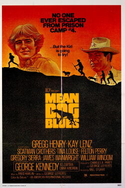 Caza sin piedad (1978)