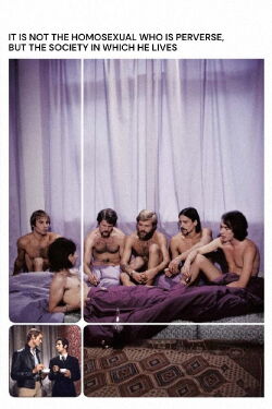 Ce n'est pas l'homosexuel qui est pervers, mais la situation dans laquelle il vit (1971)