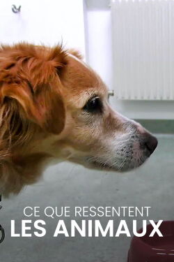 Ce que ressentent les animaux (2016)