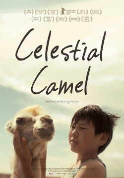 Celestial Camel (2015)