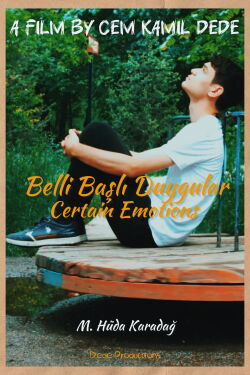 Certain Emotions (2024)