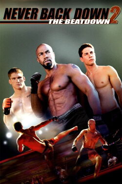 Chacun son combat 2 (2011)