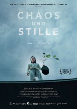 Chaos and Silence (2025)