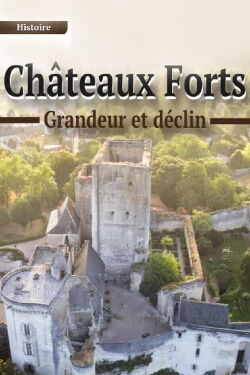 Châteaux forts : grandeur et déclin (2020)