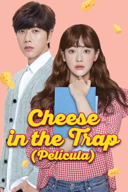 Cheese in the Trap (2018)