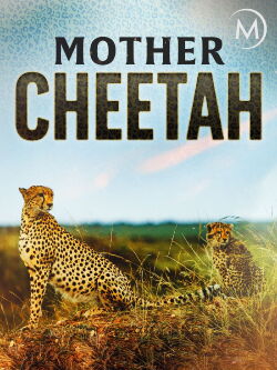 Cheetah: Fatal Instinct (2013)