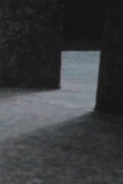 Chillida (2009)