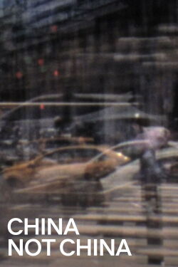 China Not China (2018)