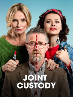 Chlap na střídačku (2020)