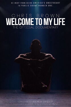 Chris Brown: Bienvenidos a mi vida (2017)