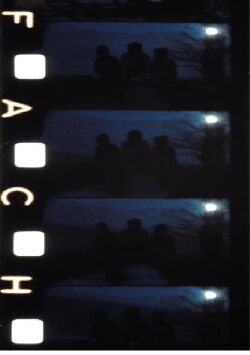 Chutes de Esmeralda (1981)