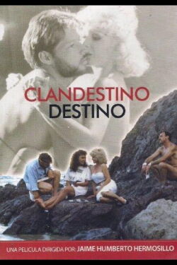 Clandestine Destiny (1987)