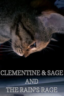 Clementine & Sage and The Rain's Rage (2024)