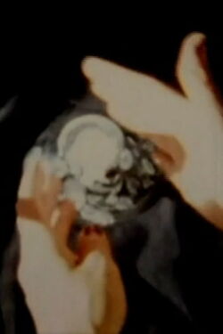 Close at Hand (2009)