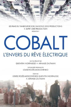 Cobalt Rush: The Future of Going Green (2022)