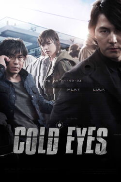 Cold Eyes (2013)