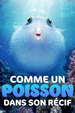 Comme un poisson dans son récif (2021)