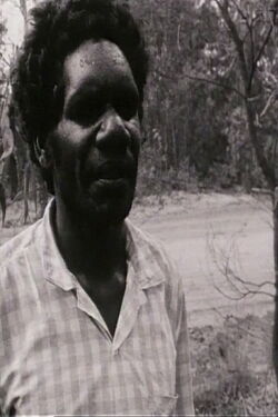 Conversations with Dundiwuy Wanambi (1995)