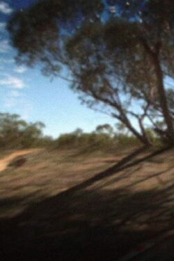 Coorow-Latham Road (2011)