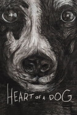 Corazon de Perro (2015)