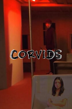 Corvids (2024)