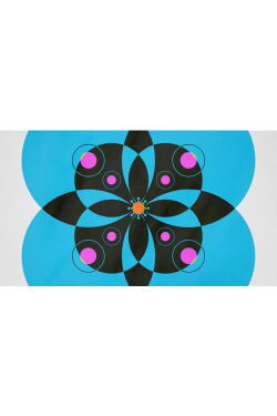 Cotinga (2017)