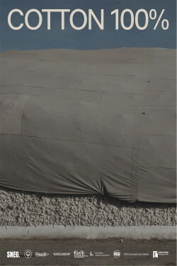 Cotton 100% (2022)