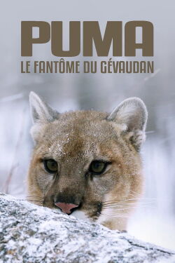Cougar: On the Trail of the Ghost Cat (2019)