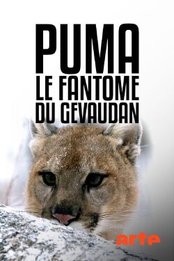 Cougar: On the Trail of the Ghost Cat (2019)