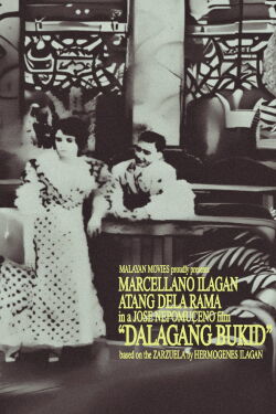 Country Maiden (1919)