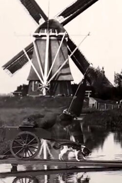 Countryside Near Amsterdam (1898)