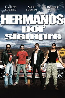 Cowboys Come Riding (2008)