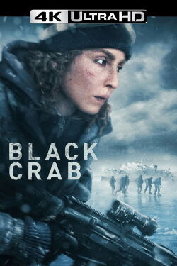 Crabe noir (2022)