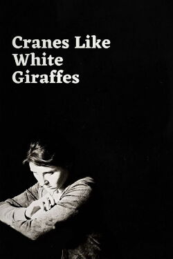 Cranes Like White Giraffes (2025)