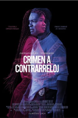 Crimen a contrarreloj (2019)