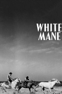 Crin Blanca (1953)