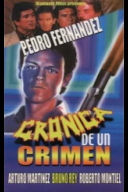 Crónica de un crimen (1992)