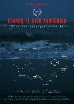 Cuando el niño andrógino (2020)