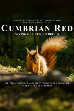 Cumbrian Red: Saving Our Red Squirrels (2023)