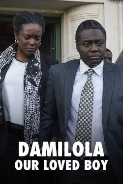 Damilola, Our Loved Boy (2016)