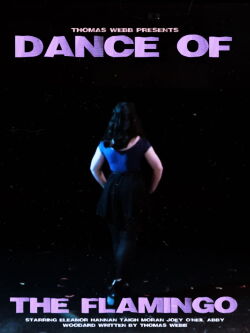 DANCE OF THE FLAMINGO (2022)
