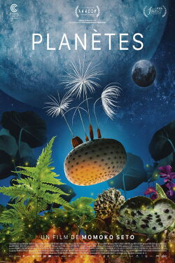 Dandelion's Odyssey (2026)