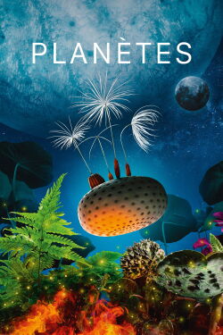 Dandelion's Odyssey (2026)