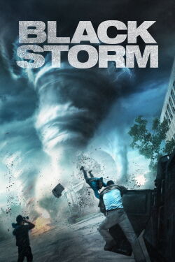 Dans la tempête (2014)