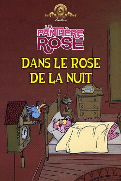 Dans Le Rose De La Nuit (1969)