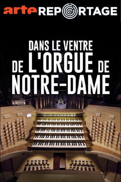 Dans le ventre de l'orgue de Notre-Dame (2015)