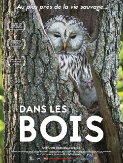Dans les bois (2018)